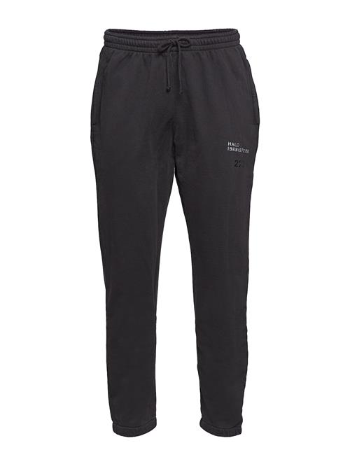 HALO Halo Cotton Sweatpant HALO Black