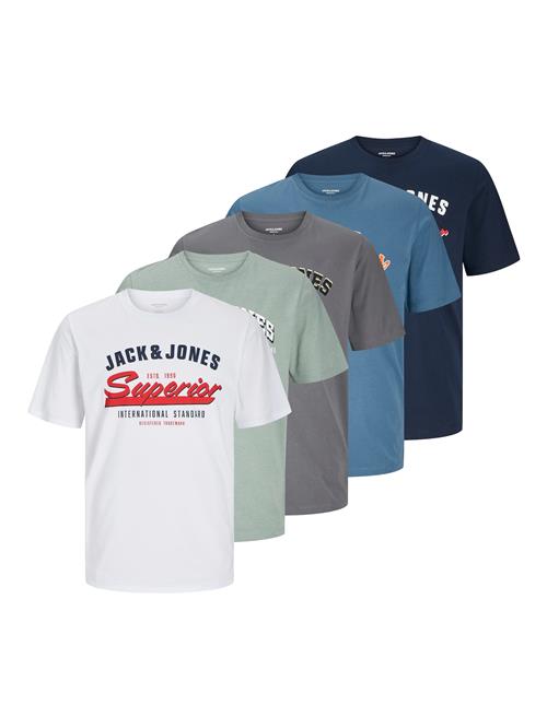 JACK & JONES Bluser & t-shirts  marin / safir / grå / hvid