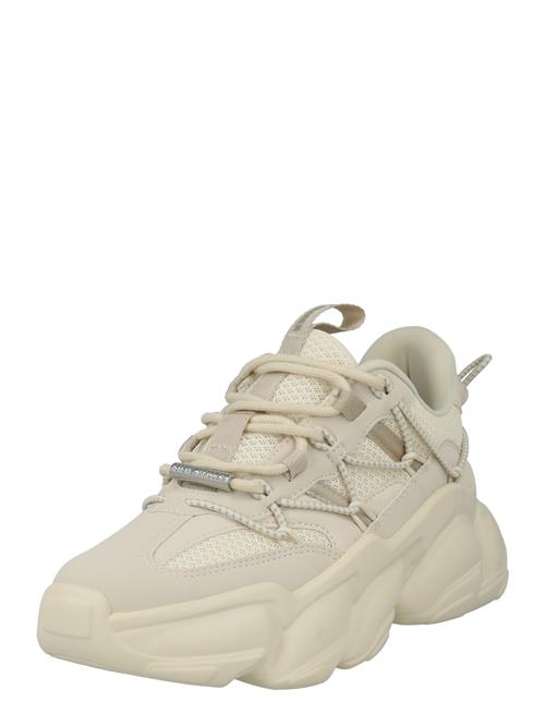 STEVE MADDEN Sneaker low 'SPECTATOR'  greige