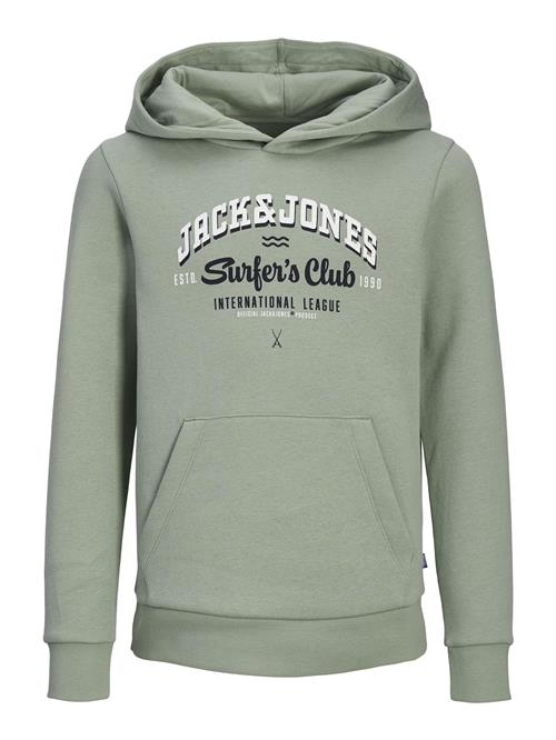 Jack & Jones Junior Sweatshirt  natblå / grå / hvid