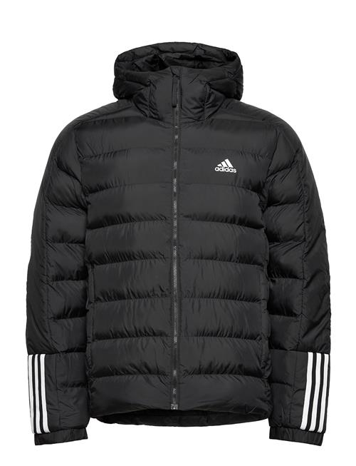 adidas Sportswear Itavic 3S Midweight Hooded Jacket Adidas Sportswear Black