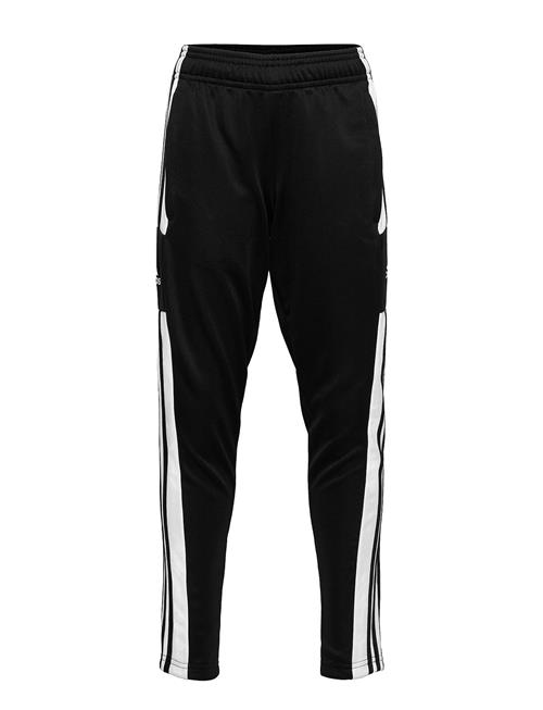 Squadra21 Training Pant Youth Adidas Performance Black