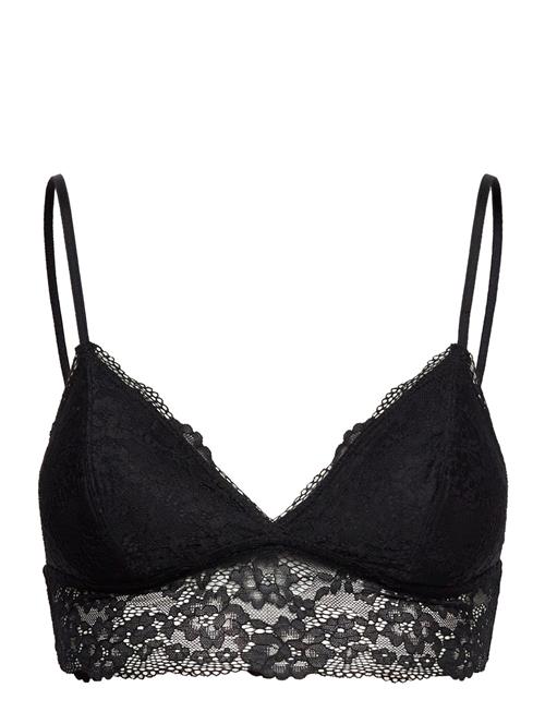 Dorina Milo Bralette Dorina Black