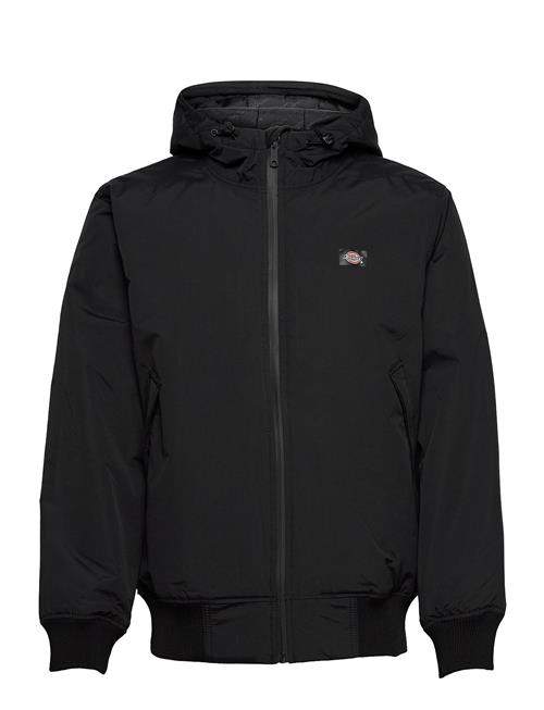 Dickies New Sarpy Jacket Dickies Black