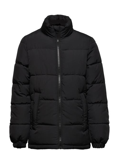 Jack & Jones Jwhpaul Puffer Collar Jnr Jack & J S Black