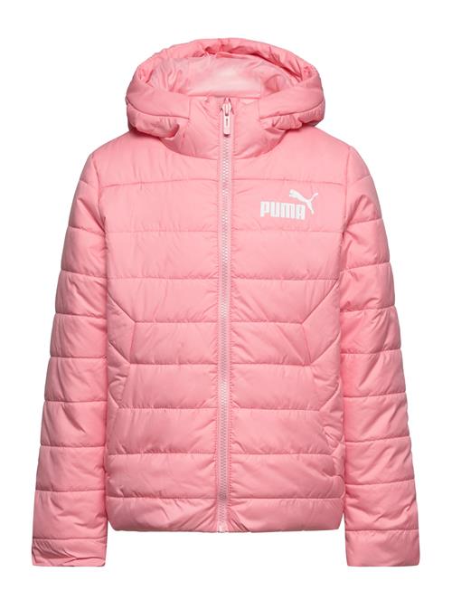 PUMA Ess Hooded Padded Jacket PUMA Pink