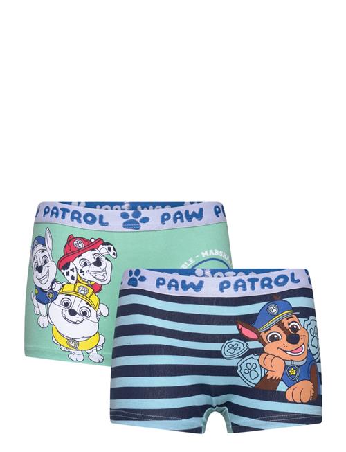 Paw Patrol Boxer Paw Patrol Blue