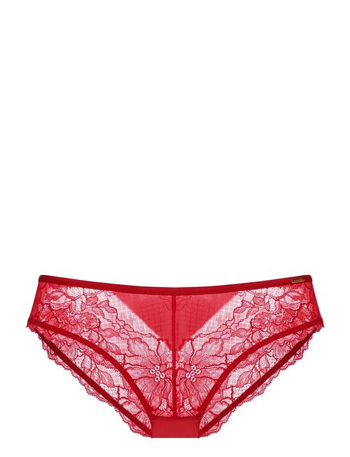 Alexa Brief Dorina Red