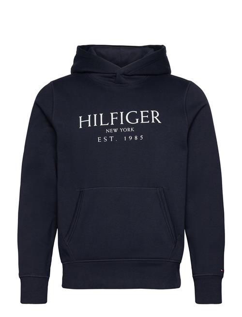 Tommy Hilfiger Big Hilfiger Hoody Tommy Hilfiger Navy