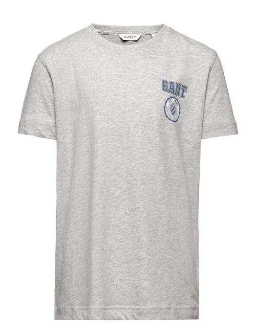 GANT Gant 1949 T-Shirt GANT Grey