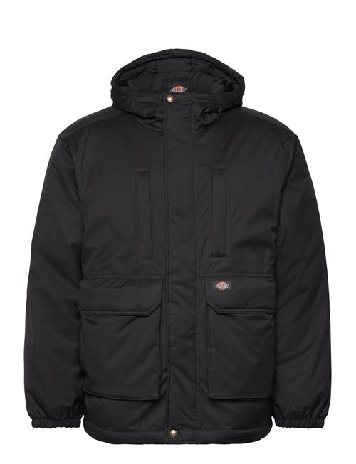 Dickies Plains Coat Dickies Black