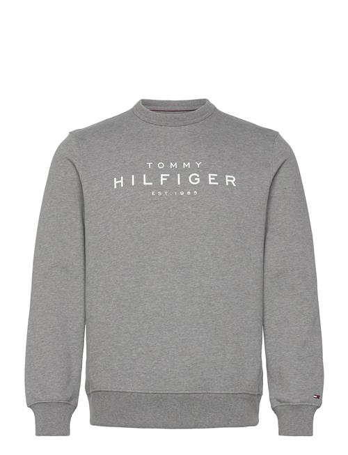 Tommy Hilfiger Sweatshirt Tommy Hilfiger Grey