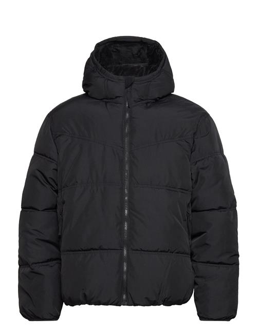 Hco. Guys Outerwear Hollister Black