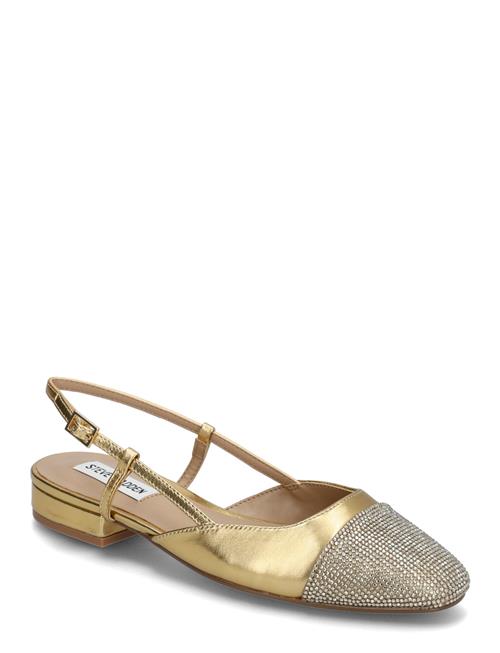 Belinda-R Ballerina Steve Madden Gold