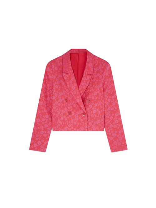 Scalpers Blazer 'Jac'  pink / pitaya