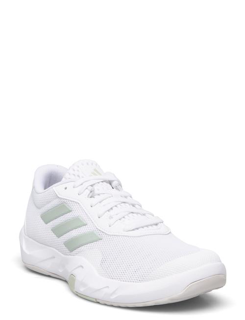 adidas Performance Amplimove Trainer W Adidas Performance White