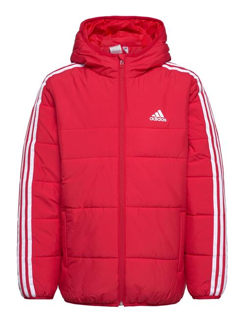 adidas Sportswear 3-Stripes Padded Jacket Kids Adidas Sportswear Red