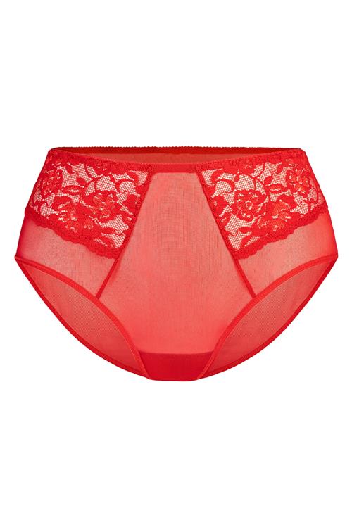 TEYLI Panty 'Vida'  rød