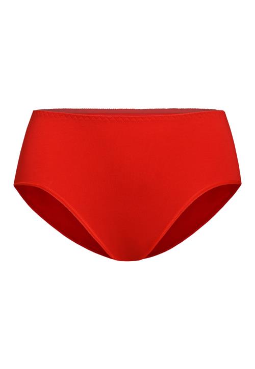 TEYLI Panty 'Classico'  rød