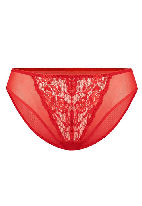 TEYLI Panty 'Glamour'  rød