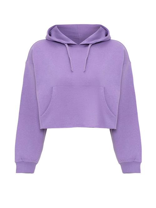 Se Jacey Quinn Sweatshirt 'Heide'  lilla ved About You