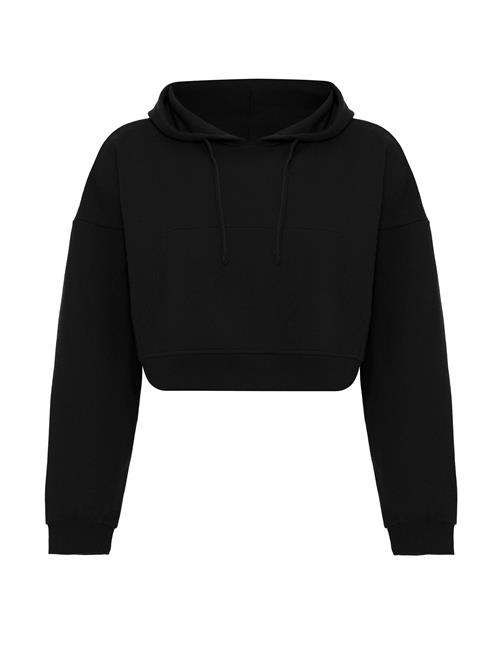 Se Jacey Quinn Sweatshirt 'Helga'  sort ved About You