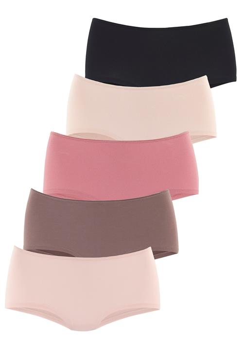 Se LASCANA Panty  beige / brun / pink / sort ved About You