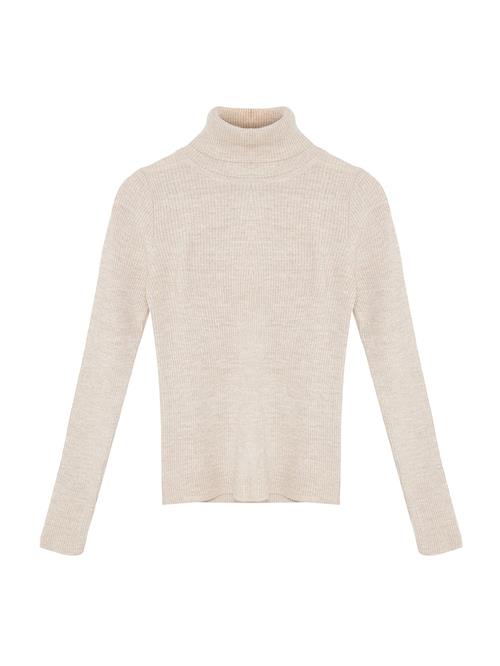 Trendyol Pullover  greige