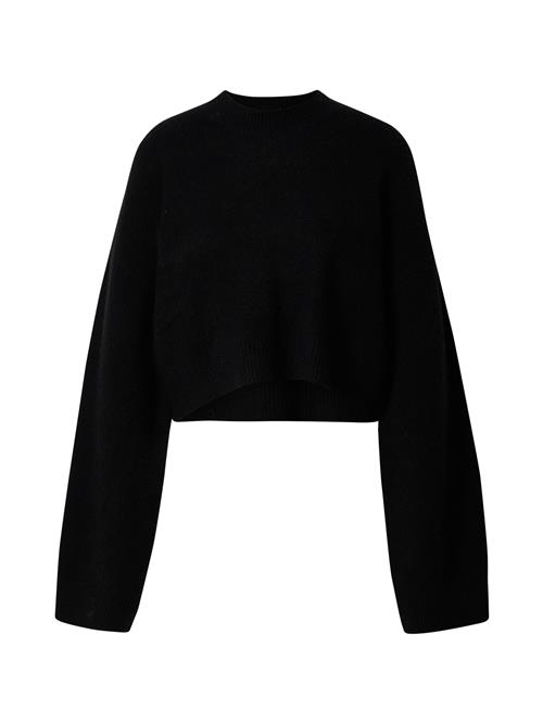 Se LeGer by Lena Gercke Pullover 'Elwine'  sort ved About You