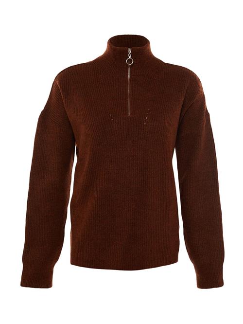 Trendyol Pullover  rustbrun