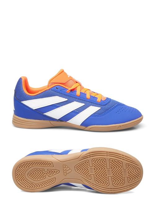 adidas Performance Predator Club J Football Boots Indoor Sala Adidas Performance Blue