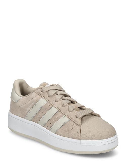 adidas Originals Superstar Xlg W Adidas Originals Beige