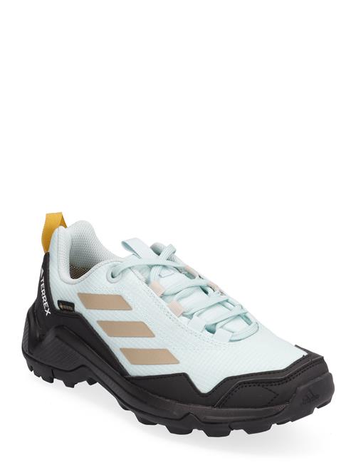 adidas Terrex Terrex Eastrail Gtx W Adidas Terrex Blue