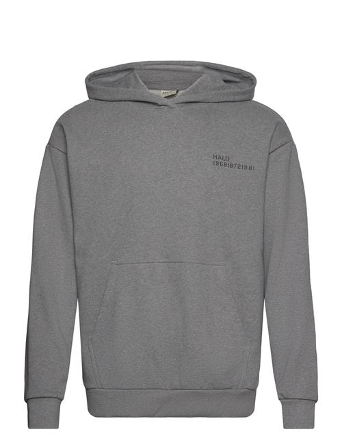 HALO Halo Essential Hoodie HALO Grey