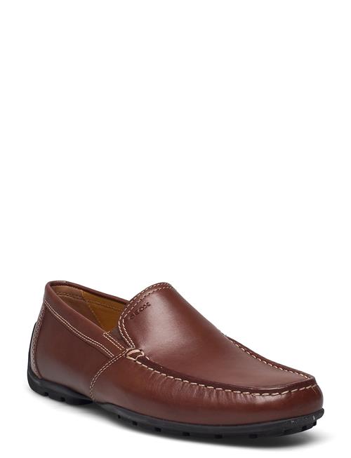 GEOX U M R V GEOX Brown