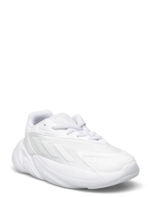 adidas Originals Ozelia El C Adidas Originals White