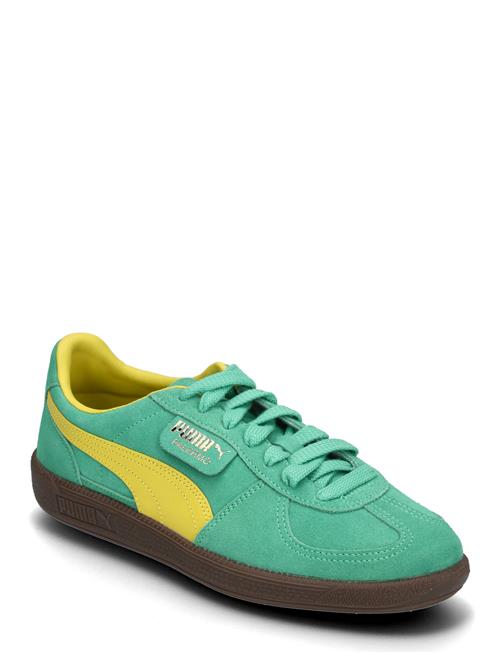 PUMA Palermo PUMA Green