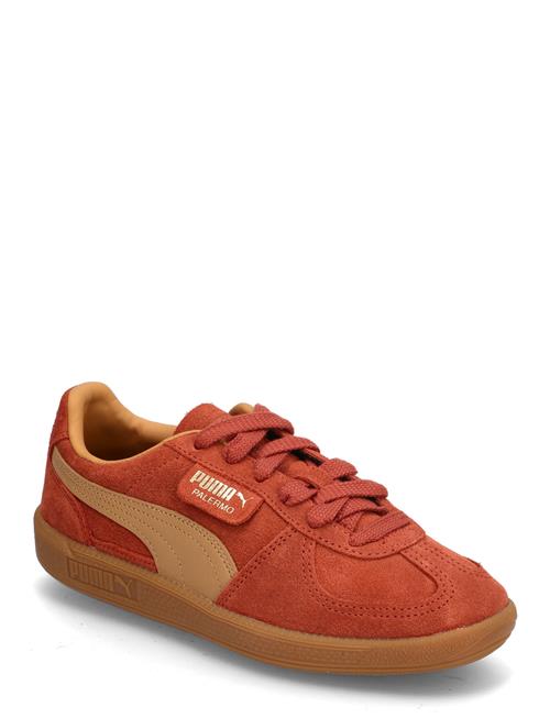 PUMA Palermo PUMA Brown