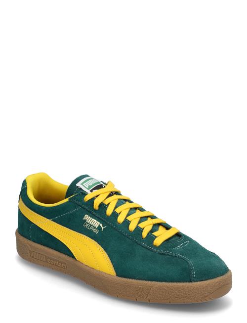 PUMA Delphin PUMA Green