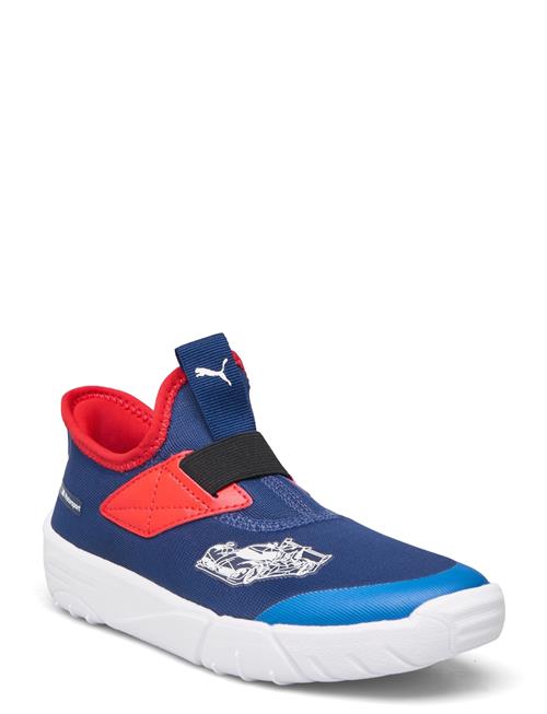 PUMA Motorsport Bmw Mms Slipkart Ac Ps PUMA Motorsport Blue