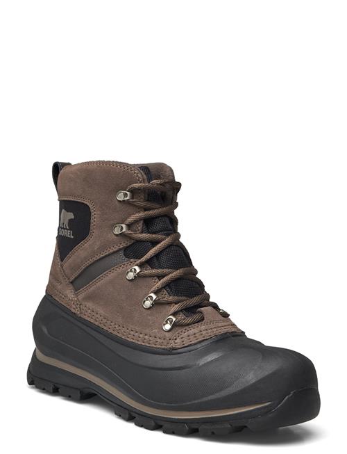 Buxton Lace Boot Wp Sorel Brown