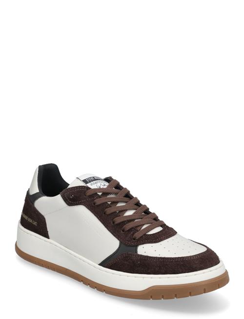 Steve Madden Ace Sneaker Steve Madden Brown