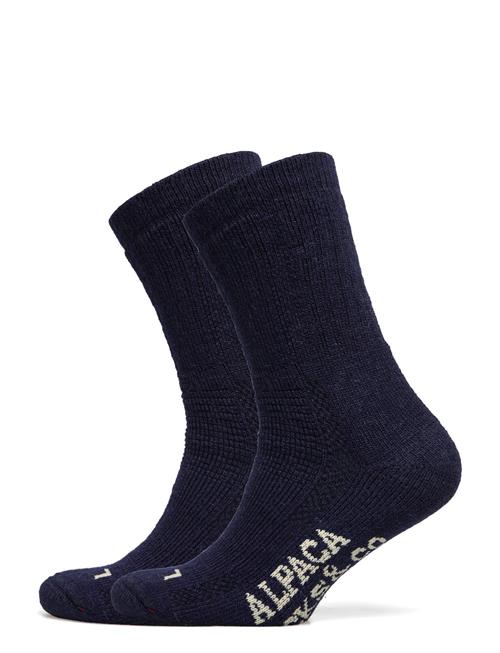 Alpacasocks 2-Pack Alpacasocks&Co Navy