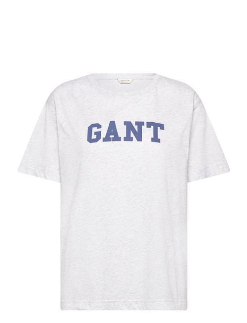 Graphic Ss T-Shirt GANT Grey