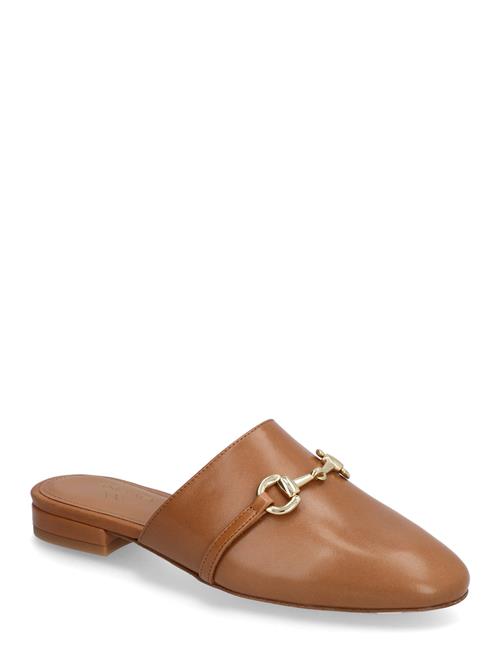 Zula Shoes Andiata Brown