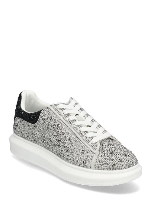 Steve Madden Icebox Sneaker Steve Madden Grey