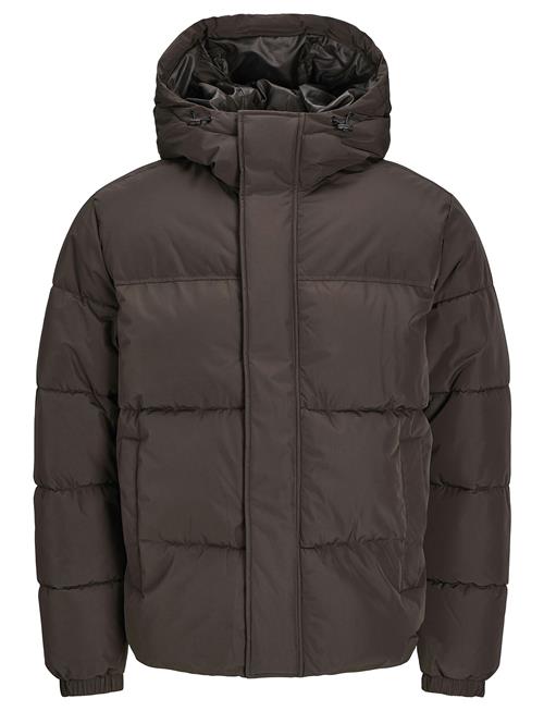 Jack & Jones Jjebradley Puffer Hood Sn Jack & J S Brown