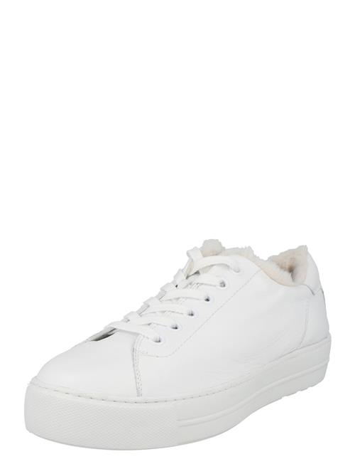 Paul Green Sneaker low  hvid