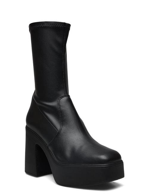 Low Phoenix Bootie Steve Madden Black