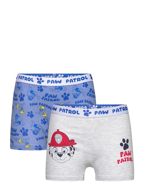 Paw Patrol Boxer Paw Patrol Blue